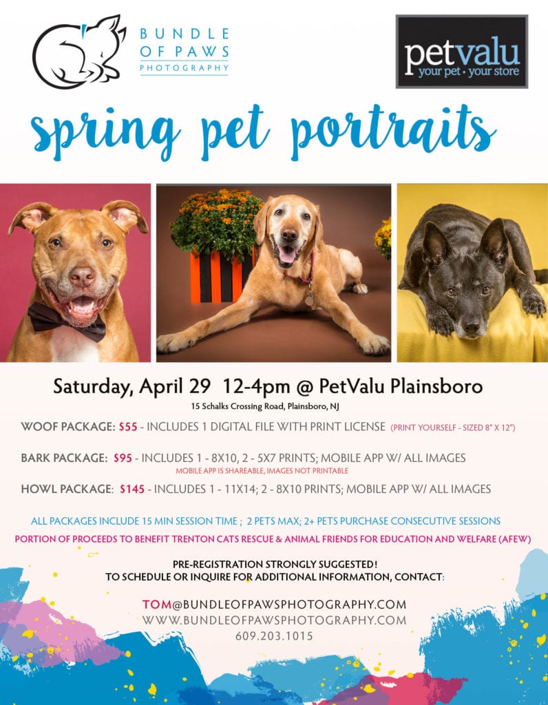 Bundle of Paws Photography joins with Pet Valu Plainsboro to offer mini-sessions to benefit two local pet rescues!
