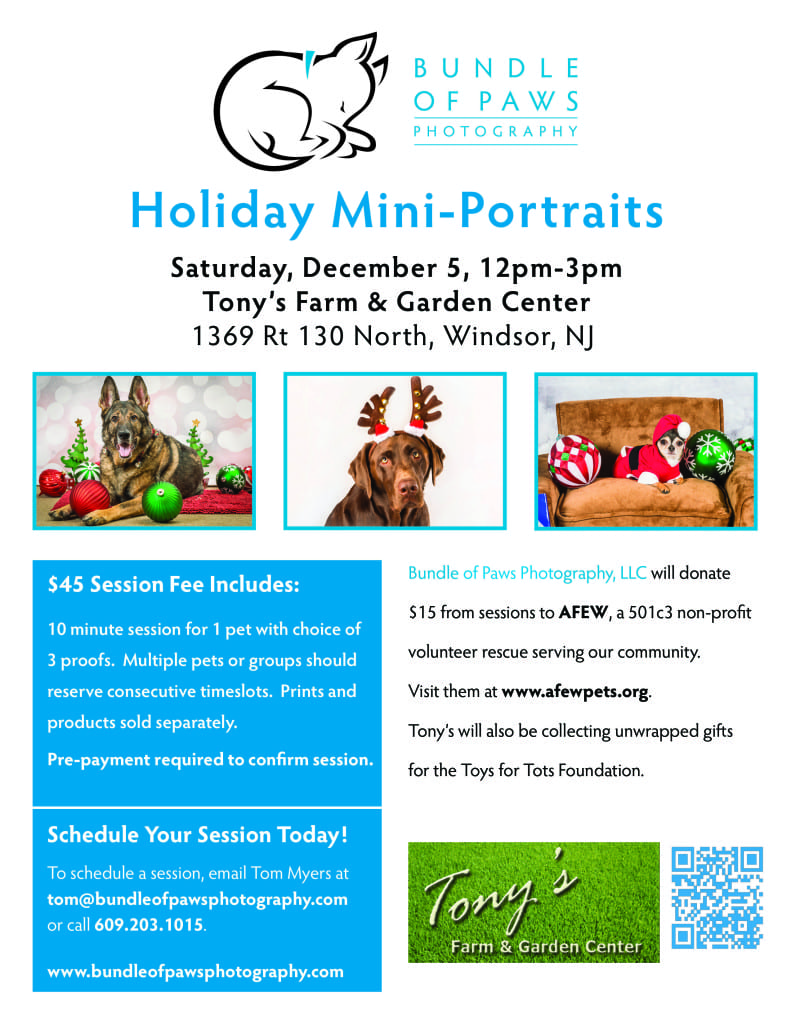 Bundle of Paws Holiday Mini-Sessions 2015